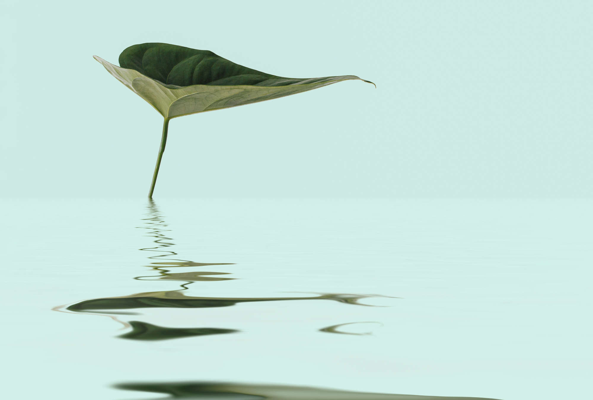             Papier peint panoramique zen avec feuille dans l'eau pour un design bien-être
        