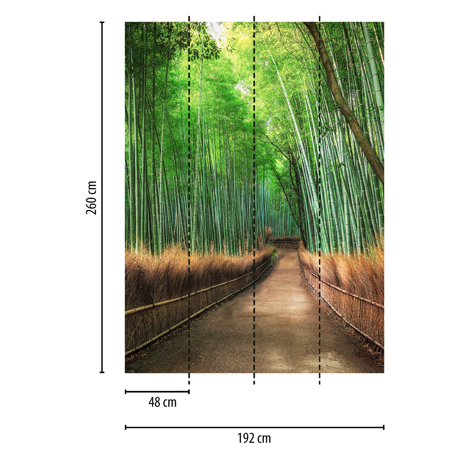             Narrow wall mural forest path - Brown, Green
        