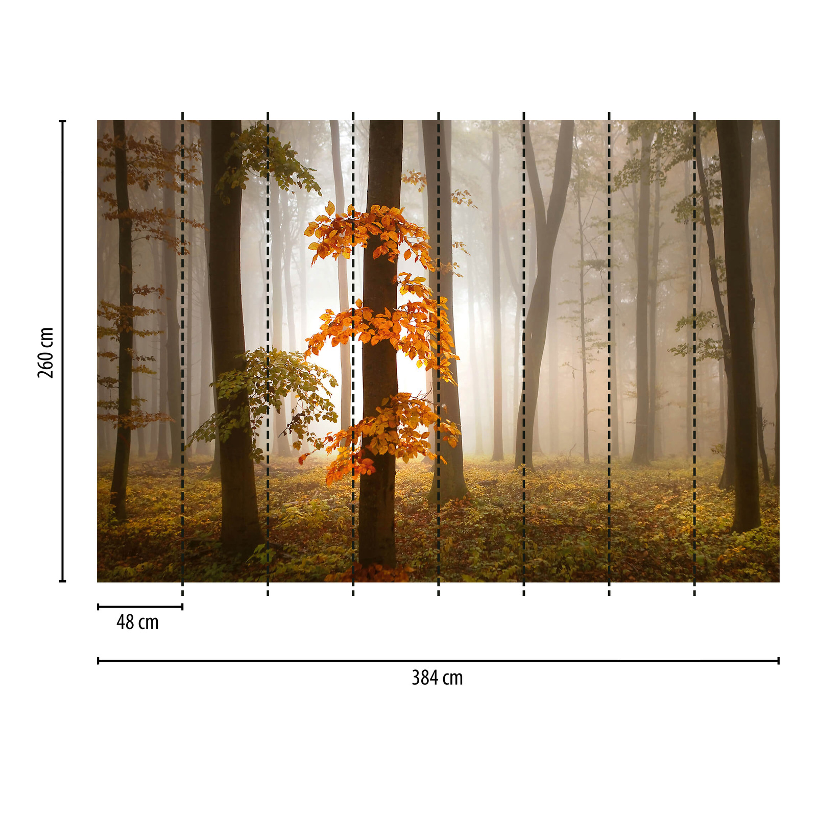             Photo wallpaper forest in autumn with fog - orange, brown
        