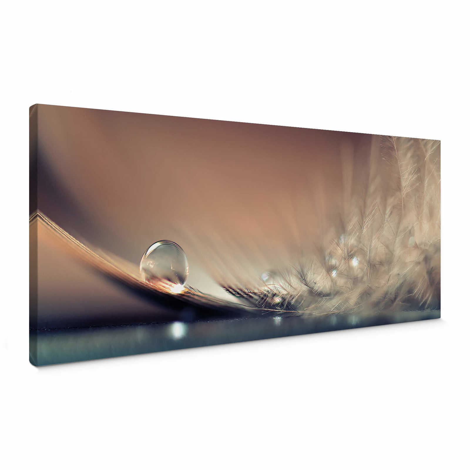         Canvas panorama print water drops and feather by Dmitry
    