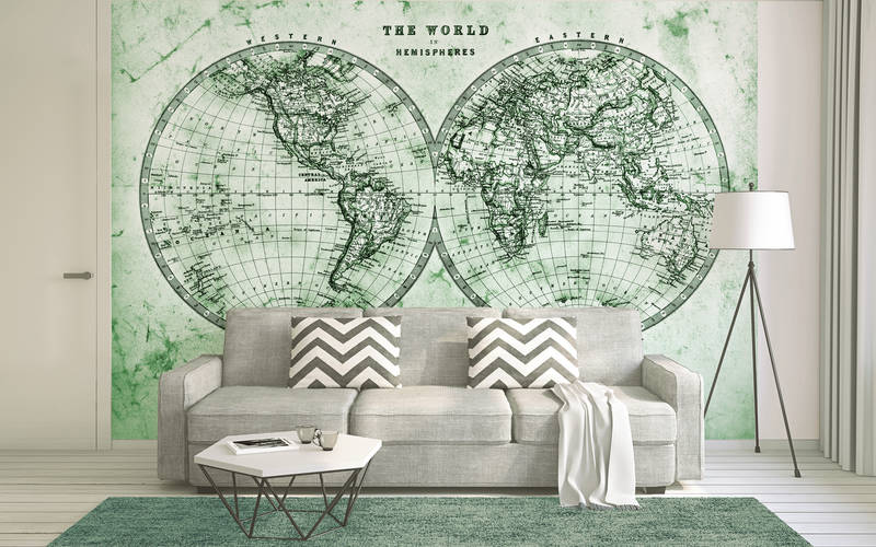             Vintage world map in hemispheres - green, grey, white
        