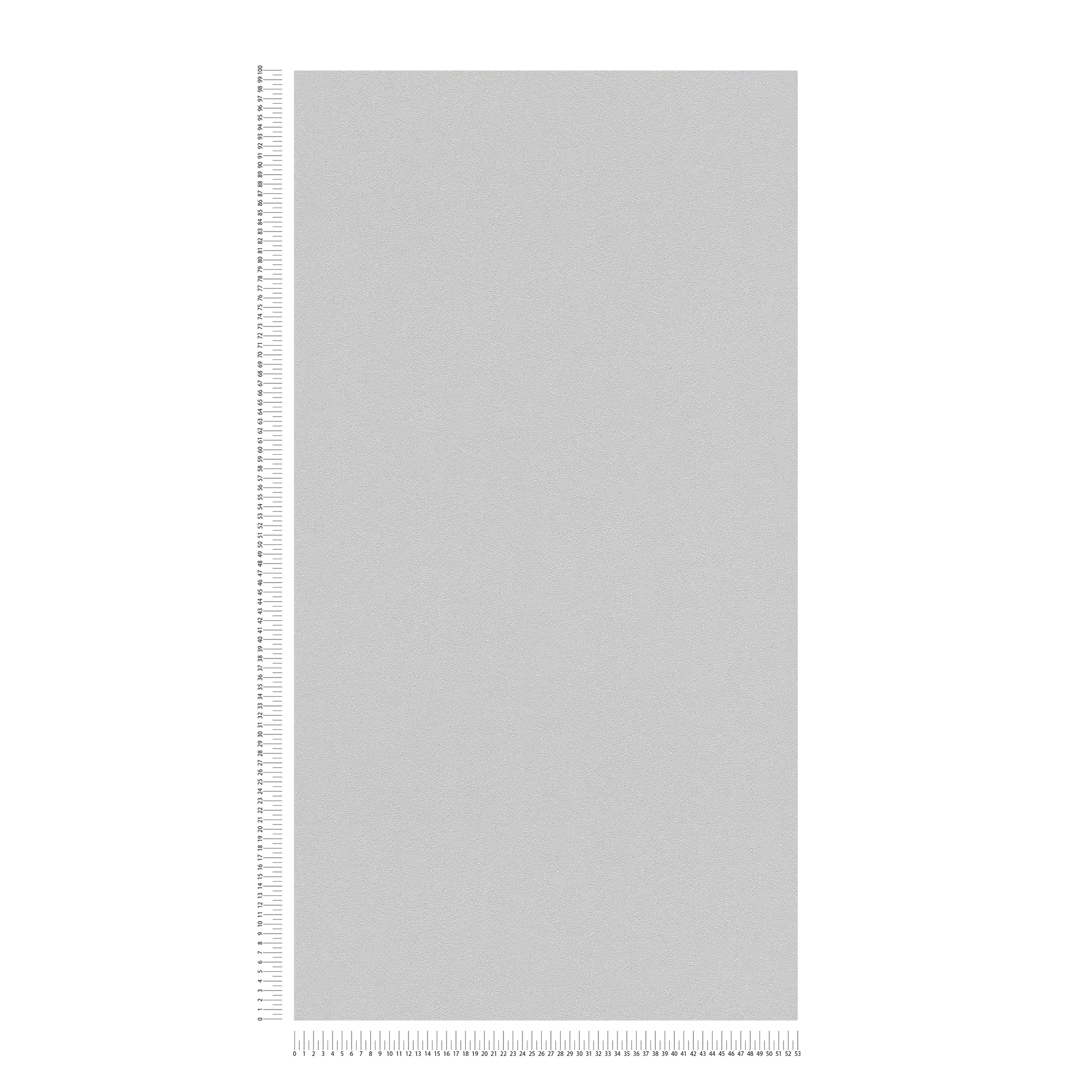             Karl LAGERFELD Papier peint monochrome avec texture - Gris
        