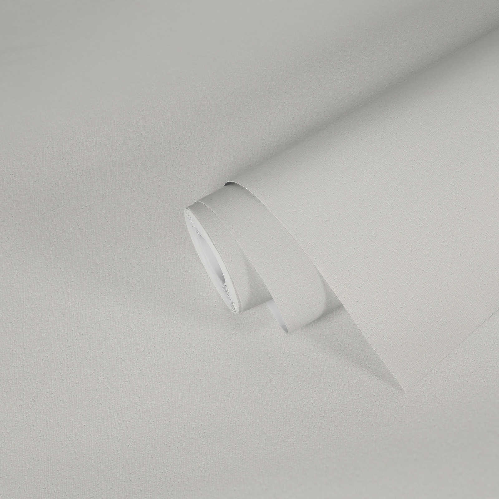            Carta da parati in tessuto non tessuto con struttura leggera verniciabile - bianco
        
