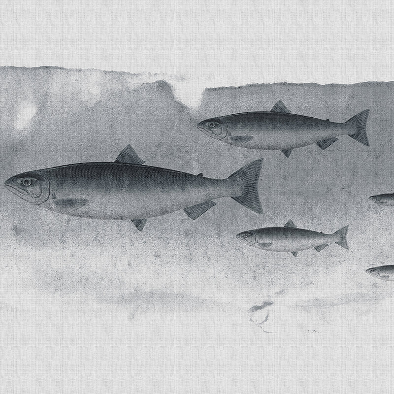 Into the blue 3 - Acquerello di pesce in grigio come carta da parati fotografica in struttura di lino naturale - tessuto non tessuto grigio | struttura
