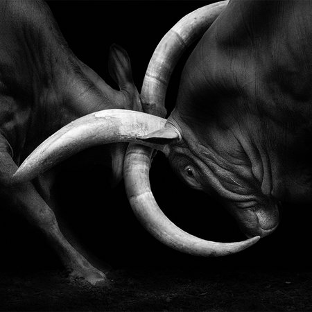         Bullfighting mural - close up black and white
    