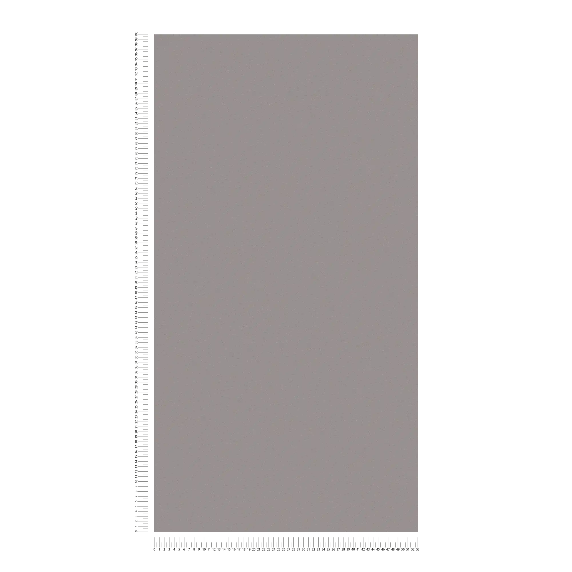             Carta da parati in tessuto non tessuto grigio scuro con superficie liscia - Grigio
        