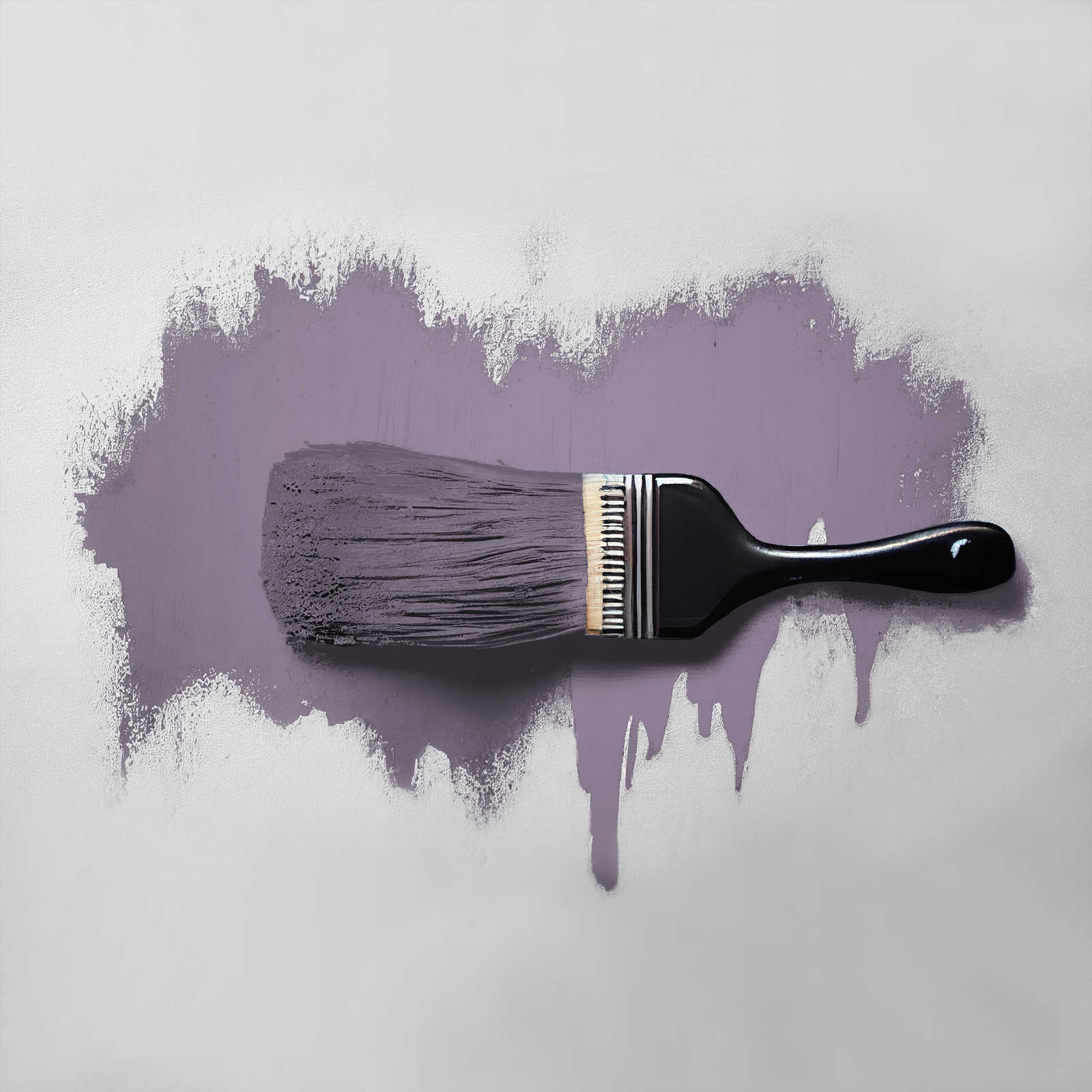             Pittura murale TCK2006 »Artful Aubergine« in viola forte – 2,5 litri
        