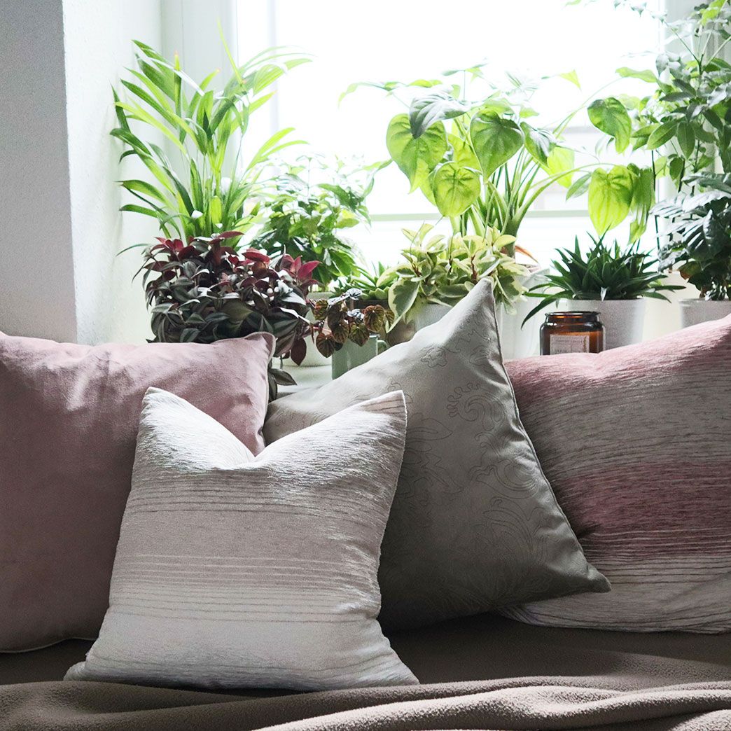 Combination of different cushions