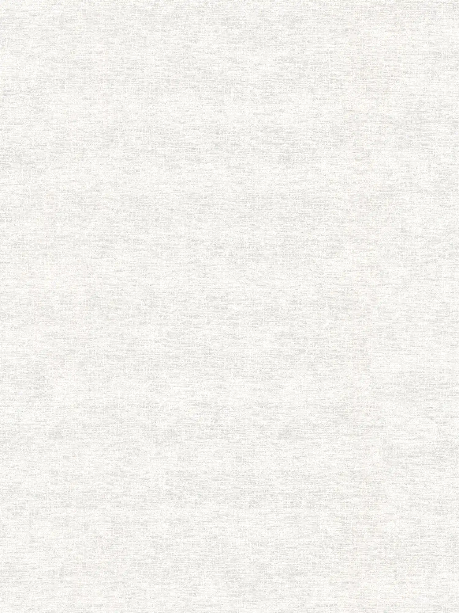 Cream wallpaper plain with natural texture
