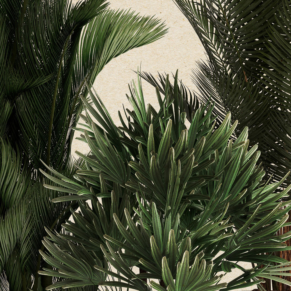             Tienda de plantas 1 - papel pintado fotográfico de la naturaleza plantas en maceta palmeras
        