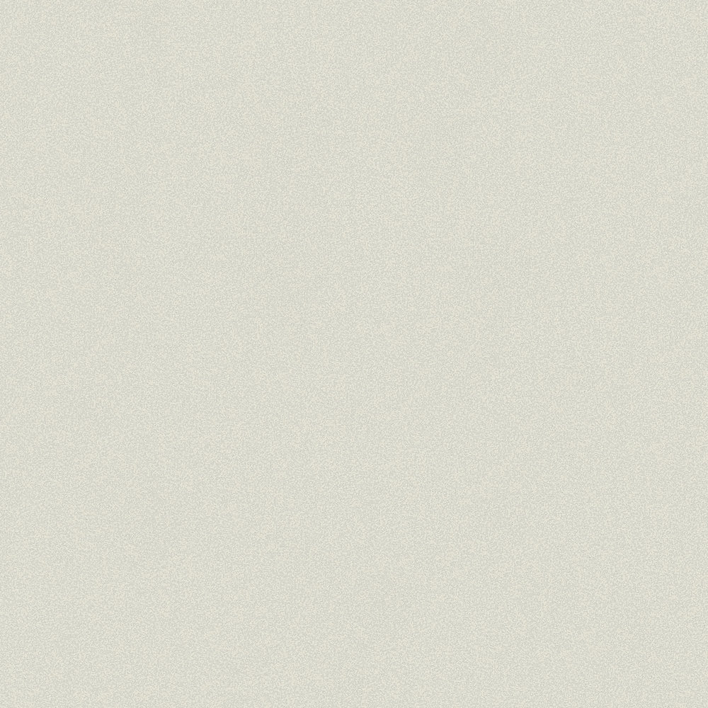             Papel pintado liso no tejido gris claro de MICHALSKY
        