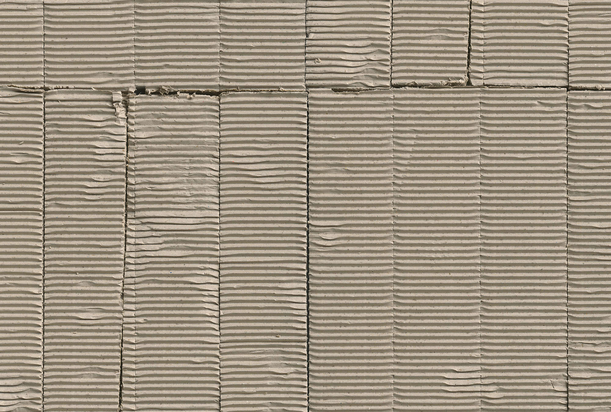             Modelli di cartone ondulato usati come carta da parati
        