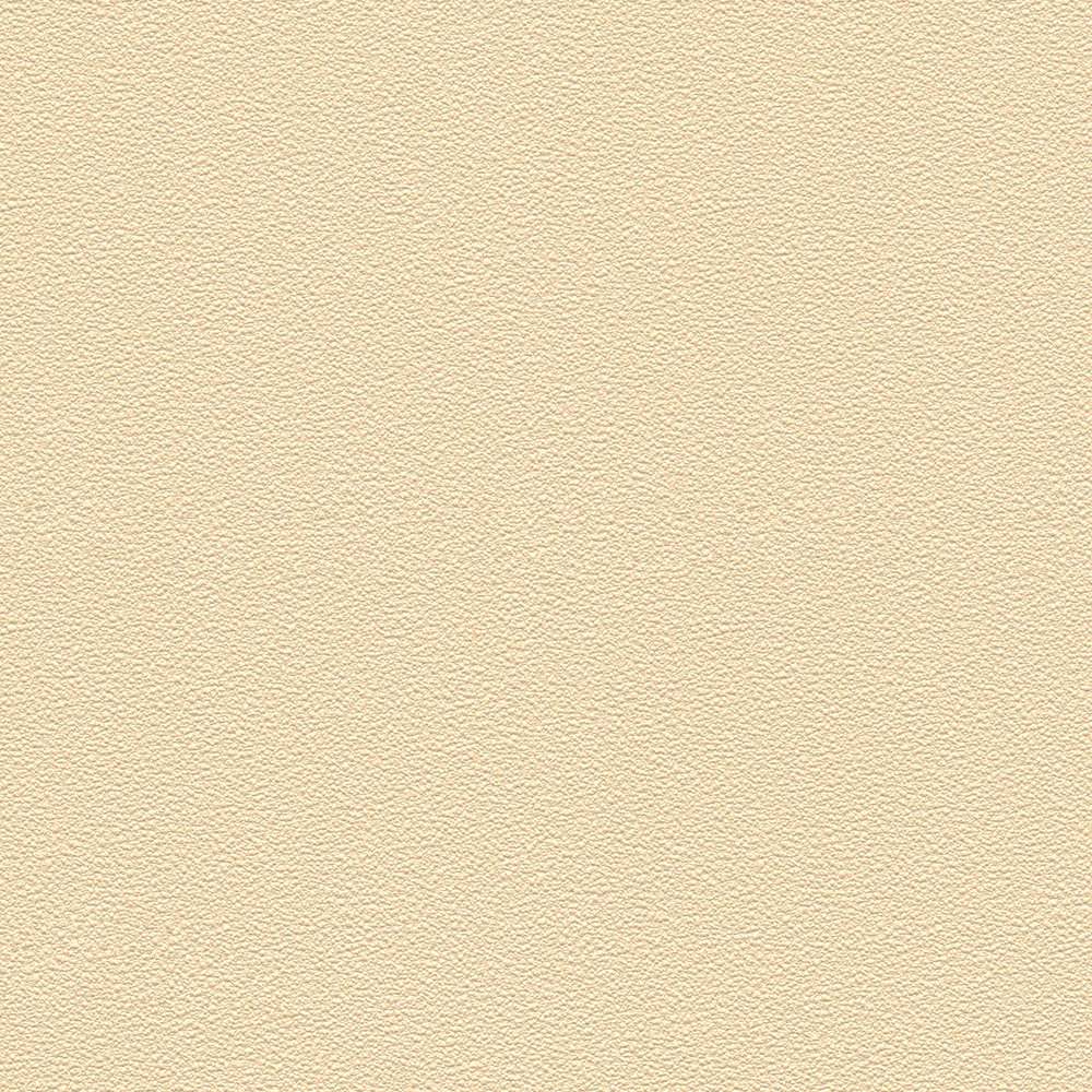            VERSACE wallpaper plain, silk matt with structure design - beige
        