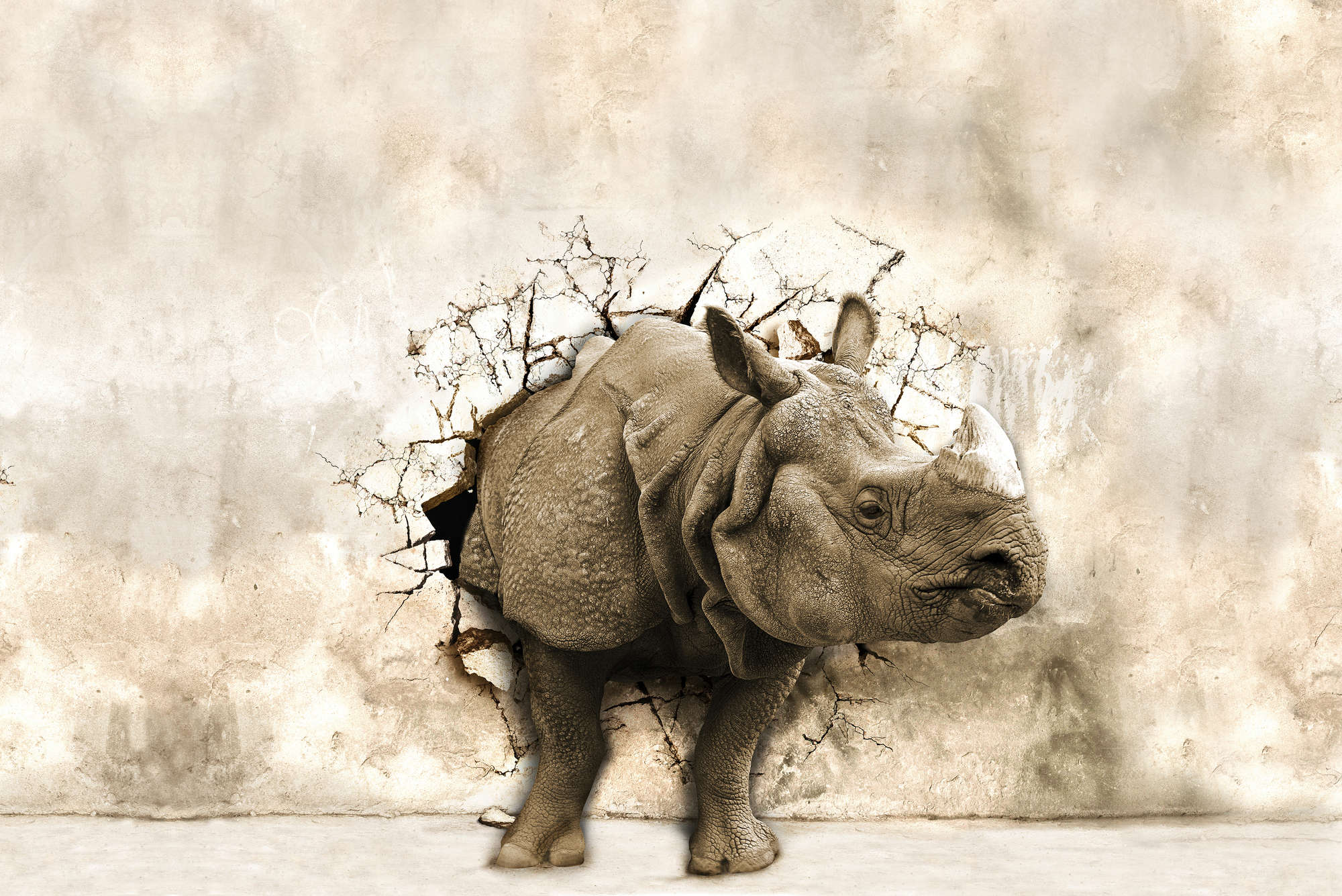             Motivo animale murale rinoceronte nella parete su vello liscio opaco
        