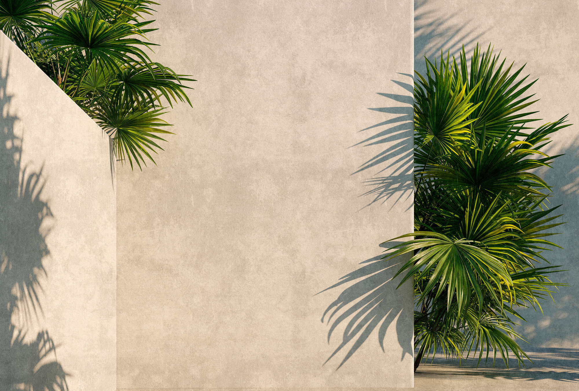             Tunis 1 - Papier peint panoramique Palmiers dans une cour intérieure avec murs en plâtre
        