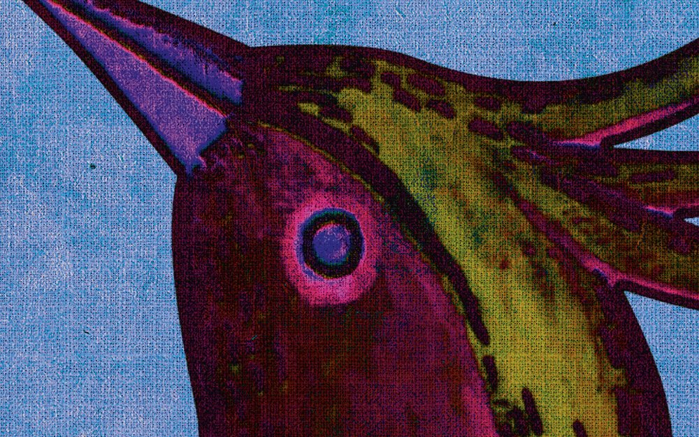             Bird Of Paradis 1 - Papel pintado con impresión digital en estructura de lino natural con ave del paraíso - Azul, Violeta | Tela no tejida lisa mate
        