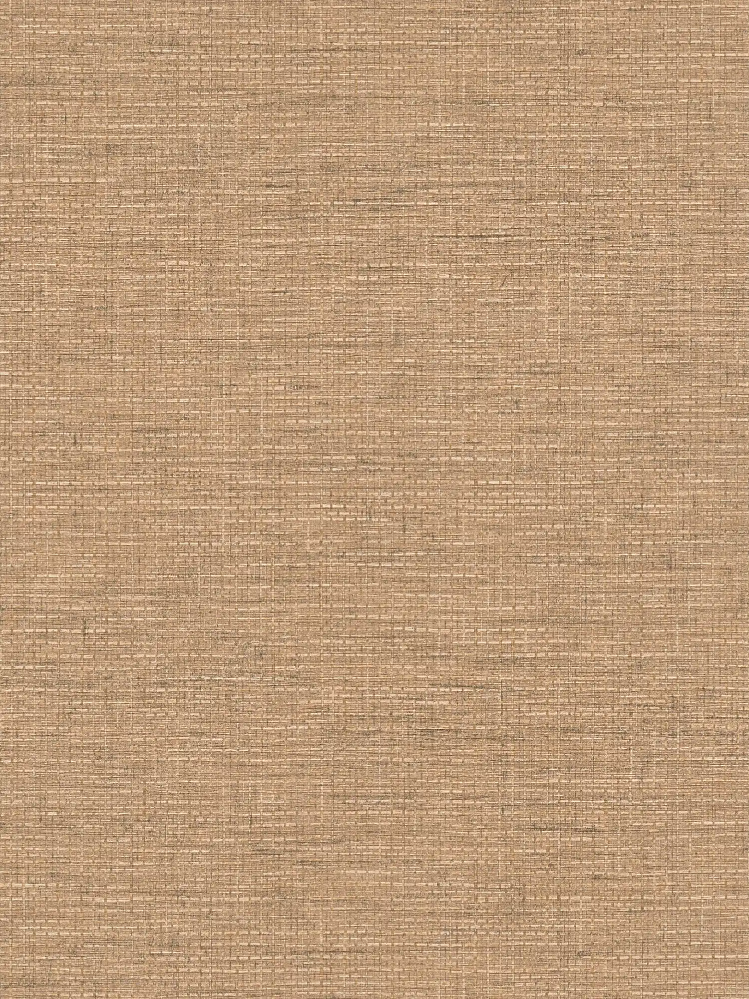 Raffia style raffia wallpaper with fabric look - beige
