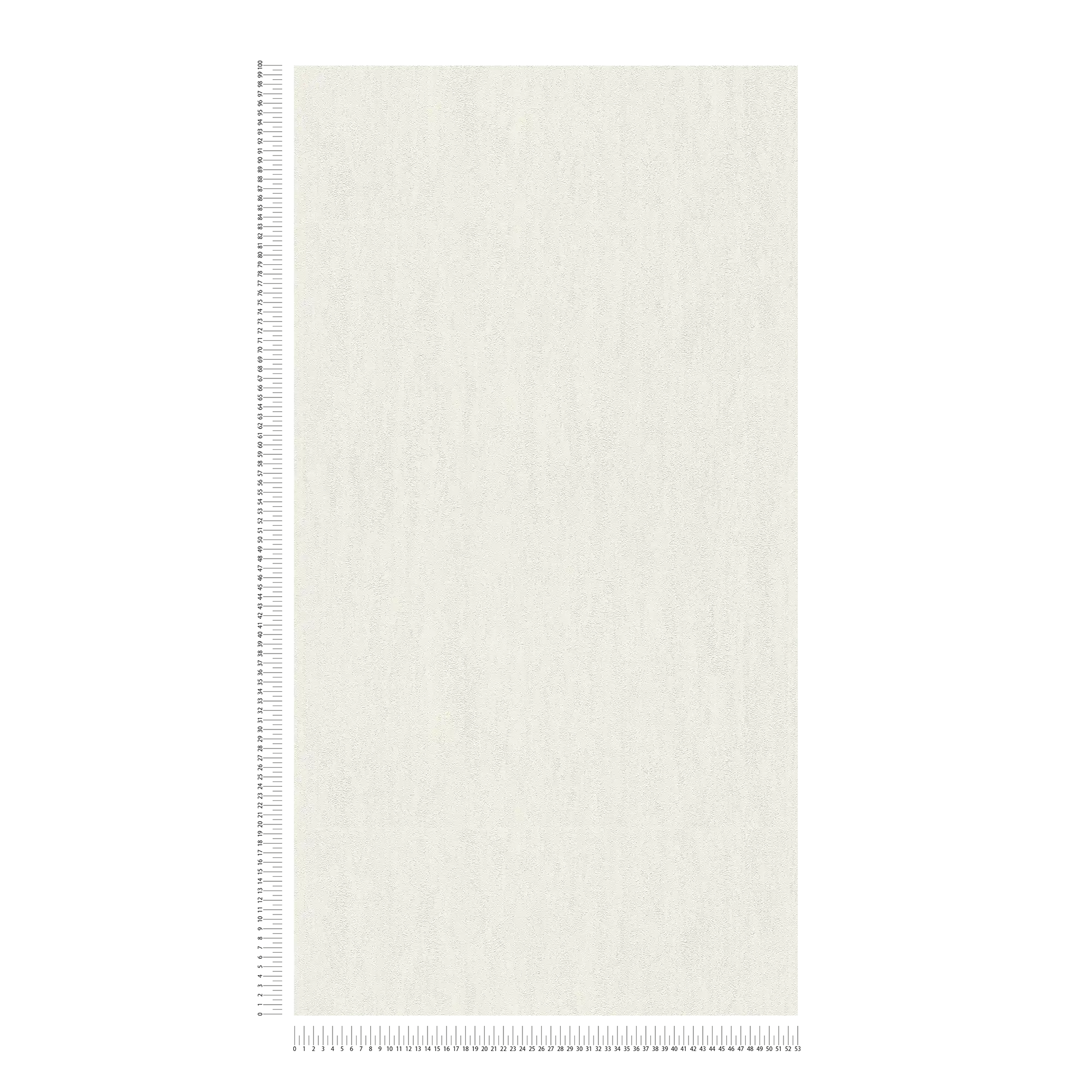             Carta da parati in tessuto non tessuto bianca con motivo a struttura grezza
        