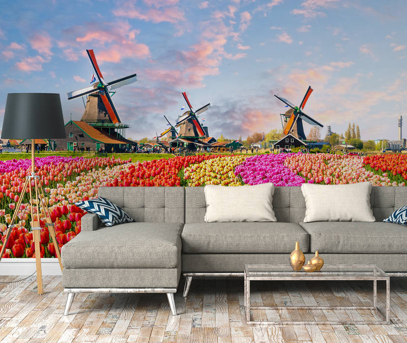             Papier peint panoramique Hollande tulipes & moulin à vent - multicolore, marron, rose
        