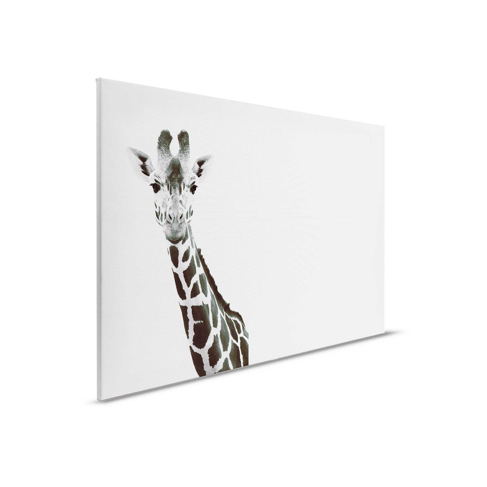 Quadro su tela Giraffe XXL Design bianco e nero - 0,90 m x 0,60 m
