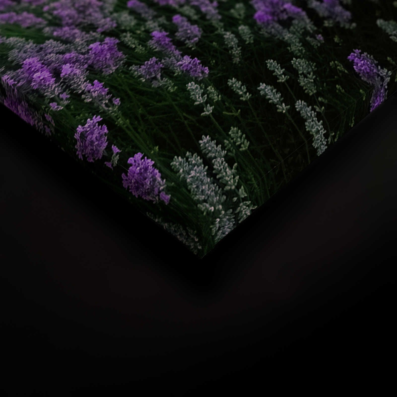             Landschap Canvas Foto met Lavendelveld - 1,20 m x 0,80 m
        
