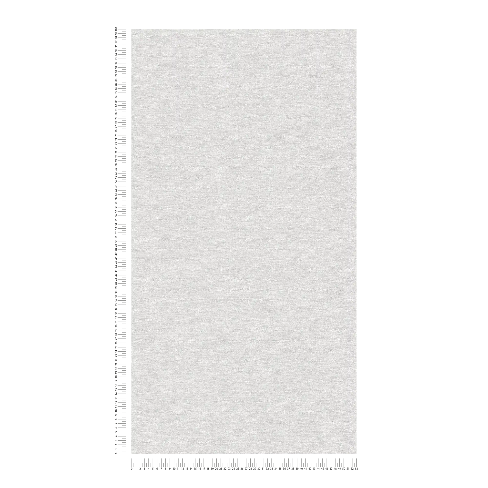             Single-coloured plain wallpaper soft shade - grey
        