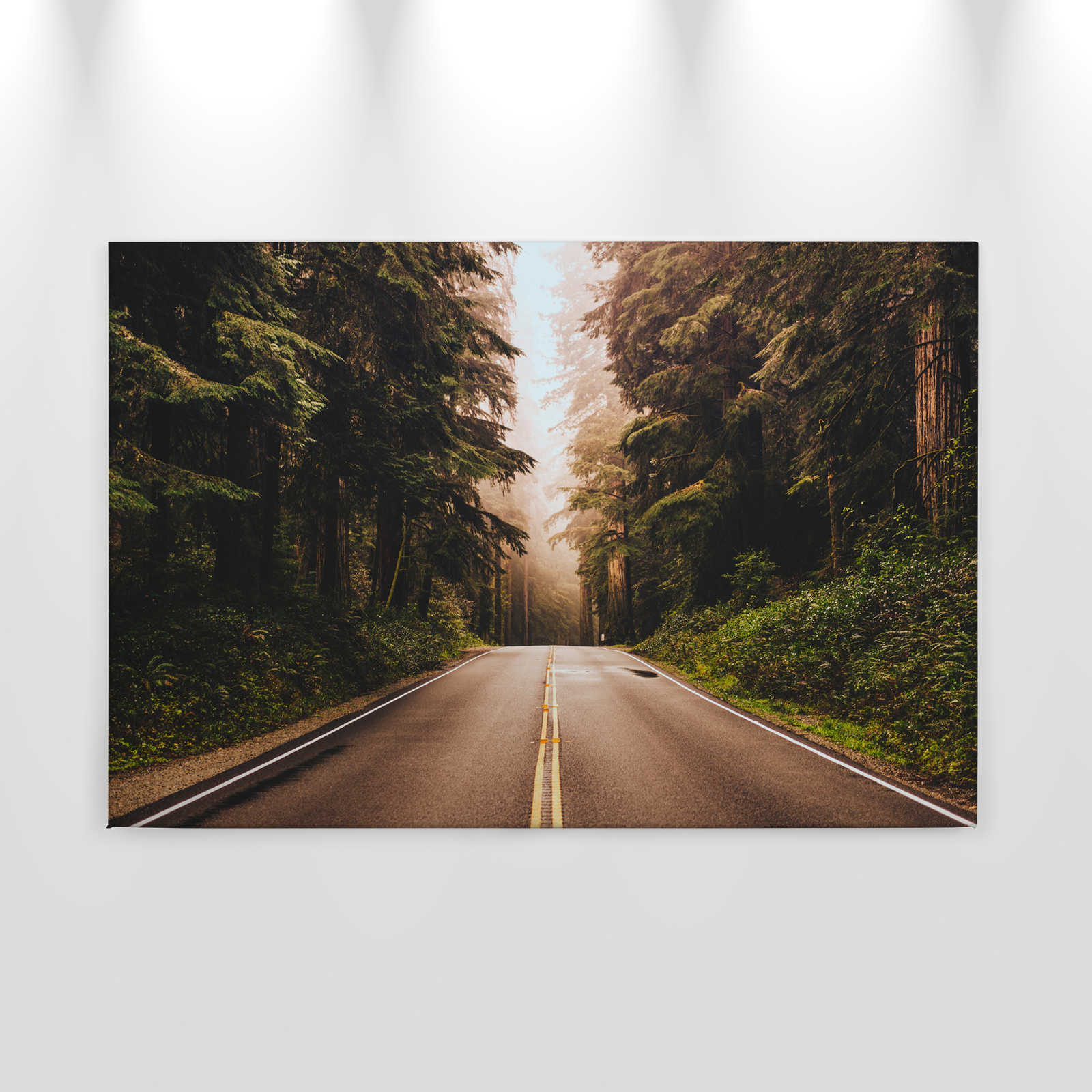            Canvas met Amerikaanse snelweg in het bos - 0,90 m x 0,60 m
        