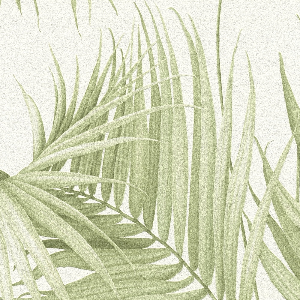             Feuilles papier peint avec des feuilles de fougères exotiques - vert, blanc
        