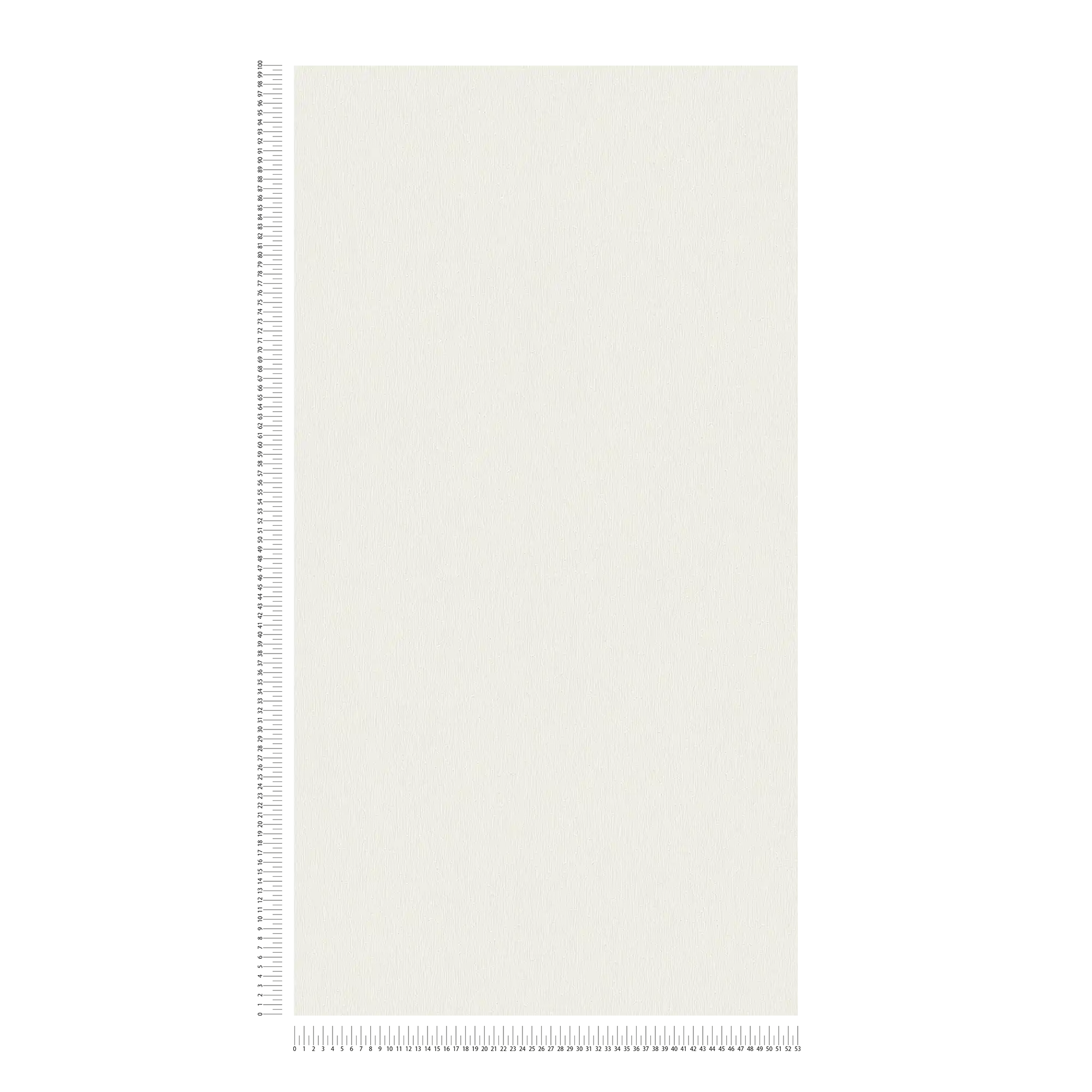             Carta da parati in tessuto non tessuto bianca con motivi naturali tono su tono
        