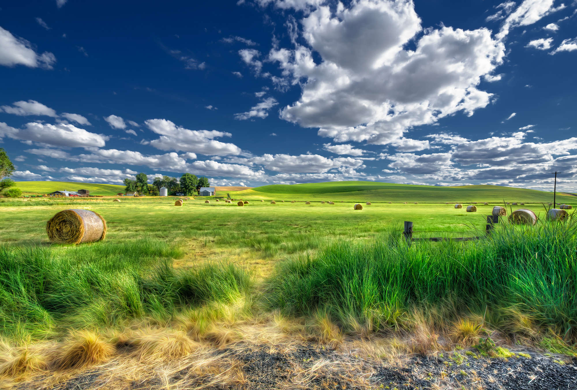             Photo wallpaper green pasture with hay bales in summer
        