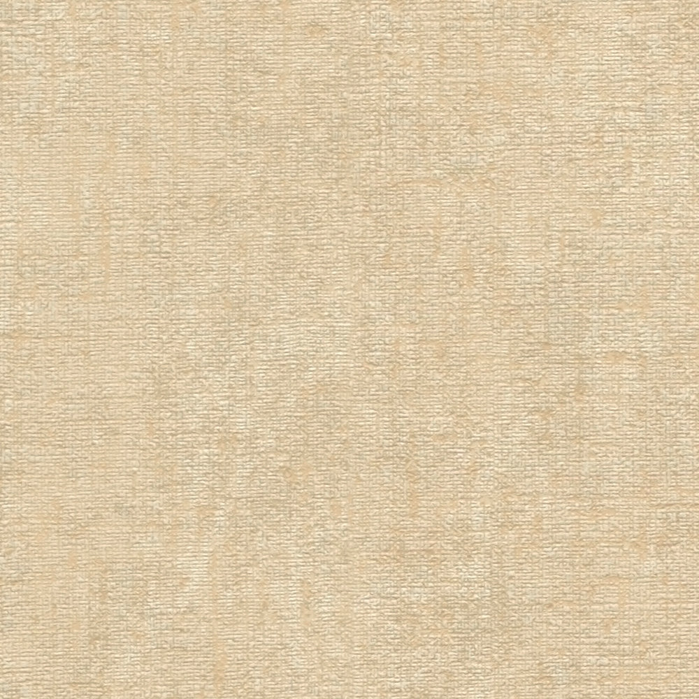             Papier peint beige avec aspect plâtreux discret - beige, jaune
        