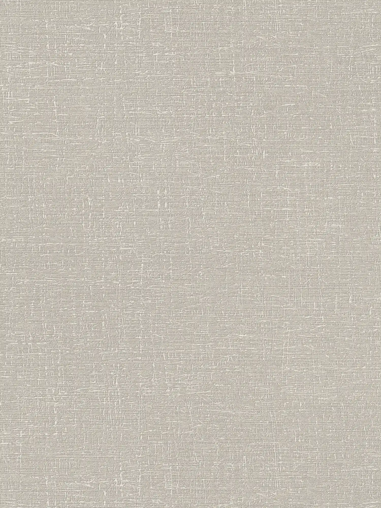 Textured non-woven wallpaper in matt look - beige
