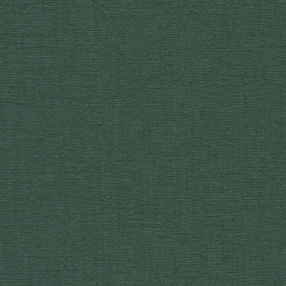             Carta da parati unitaria con texture tessile opaca - verde, verde scuro
        