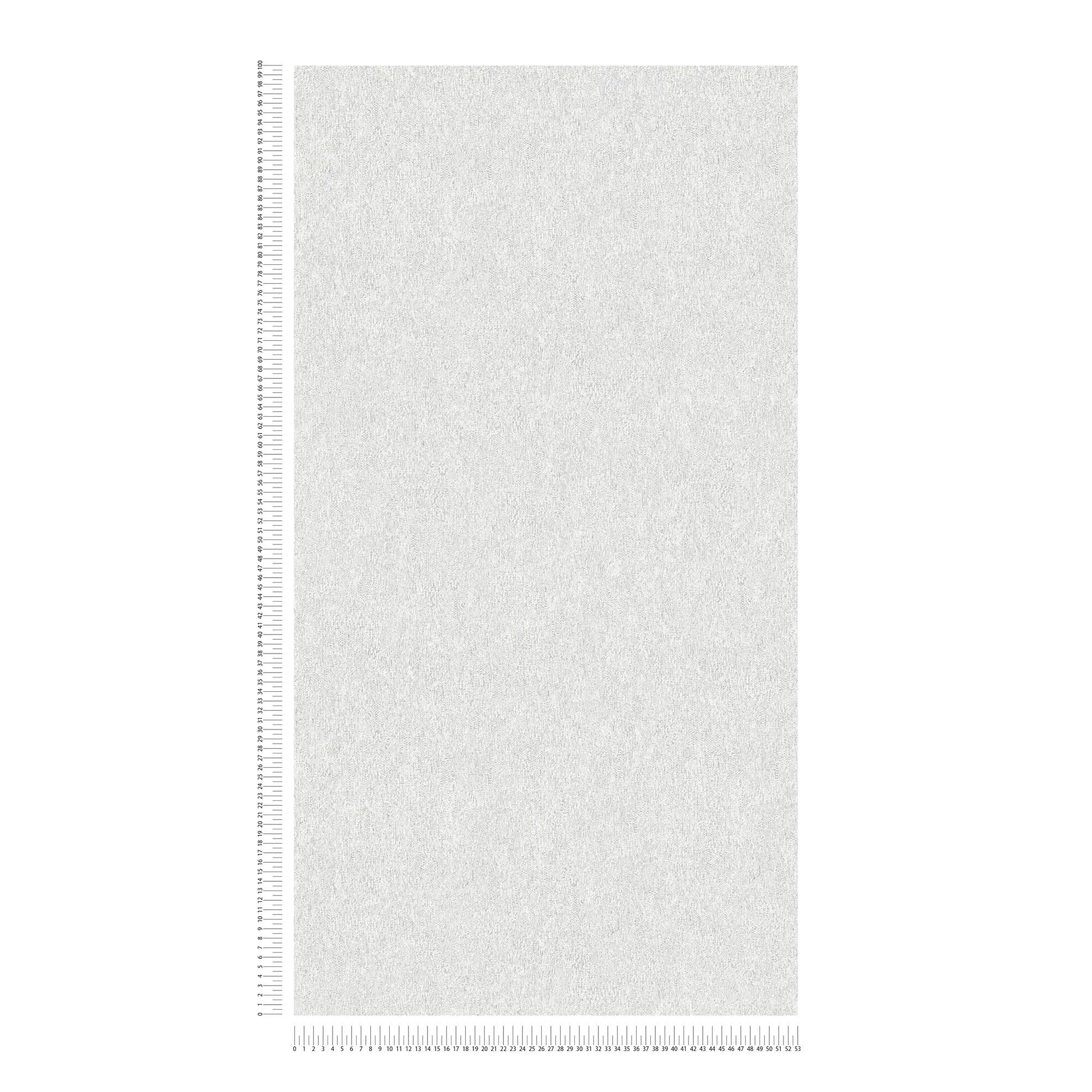             Papier peint intissé mat à effet structuré - gris clair, argenté
        