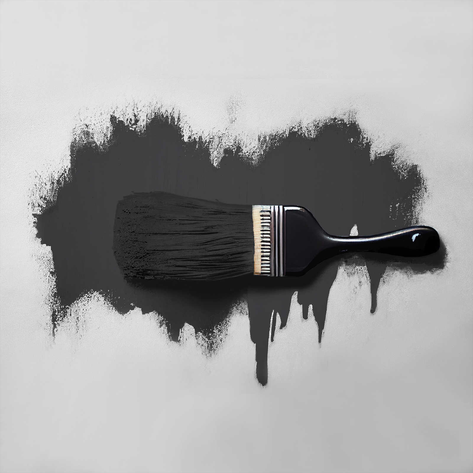             Pintura mural TCK1007 »Casual Caviar« en elegante negro – 2,5 litro
        
