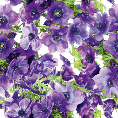 Muurschildering bloemen paarse bloesems in XXL formaat
