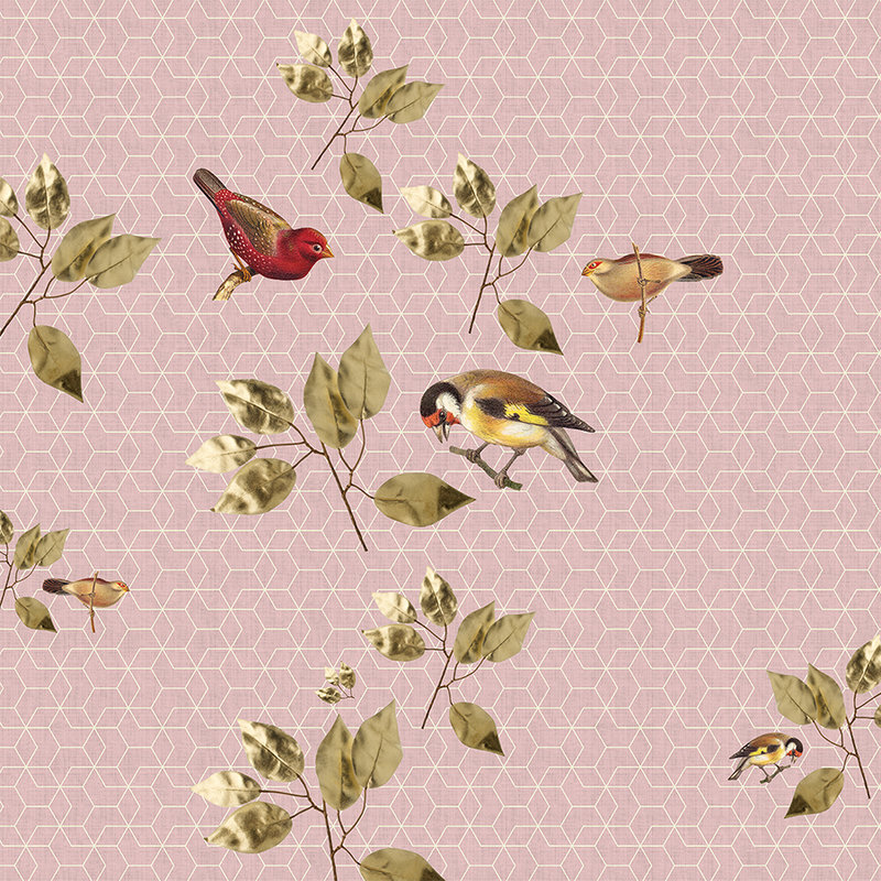 Brilliant Birds 1 - Carta da parati geometrica con motivi di uccelli e foglie - Verde, rosa | Materiali non tessuto liscio opaco
