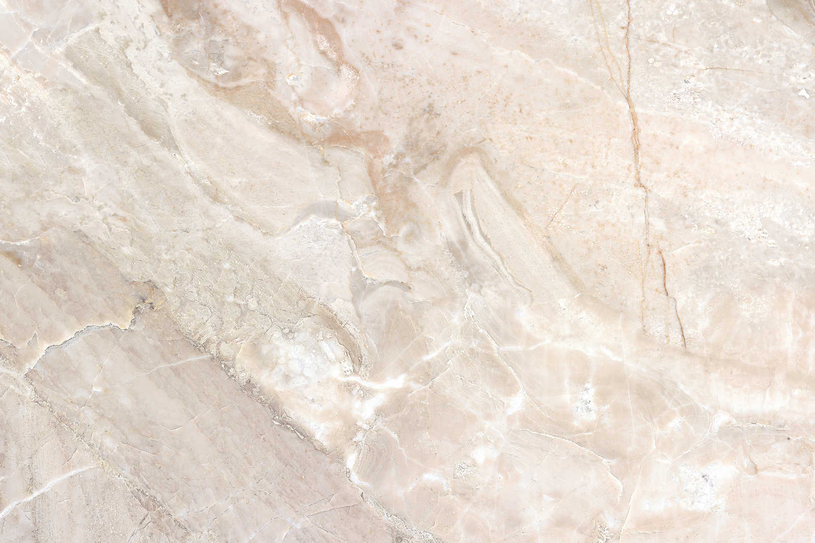             Quadro su tela con aspetto marmoreo Primo piano - 0,90 m x 0,60 m
        