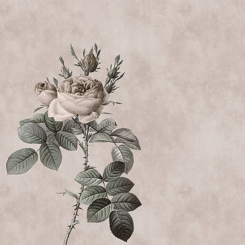         Photo wallpaper with rose in drawing style - Walls by Patel
    