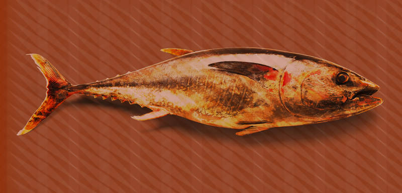             Carta da parati Tuna in design Pop Art, pesce e strisce - Rosso, arancione, giallo
        