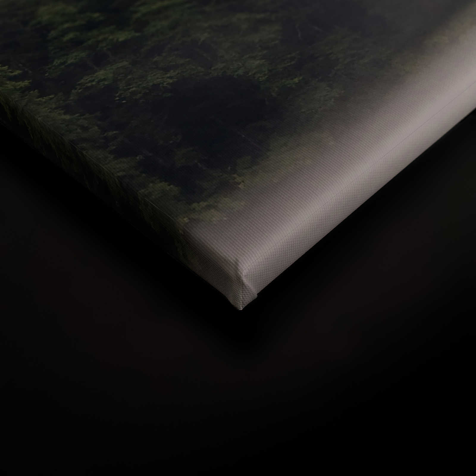             Canvas schilderij mistig bos bij het meer - 0,90 m x 0,60 m
        