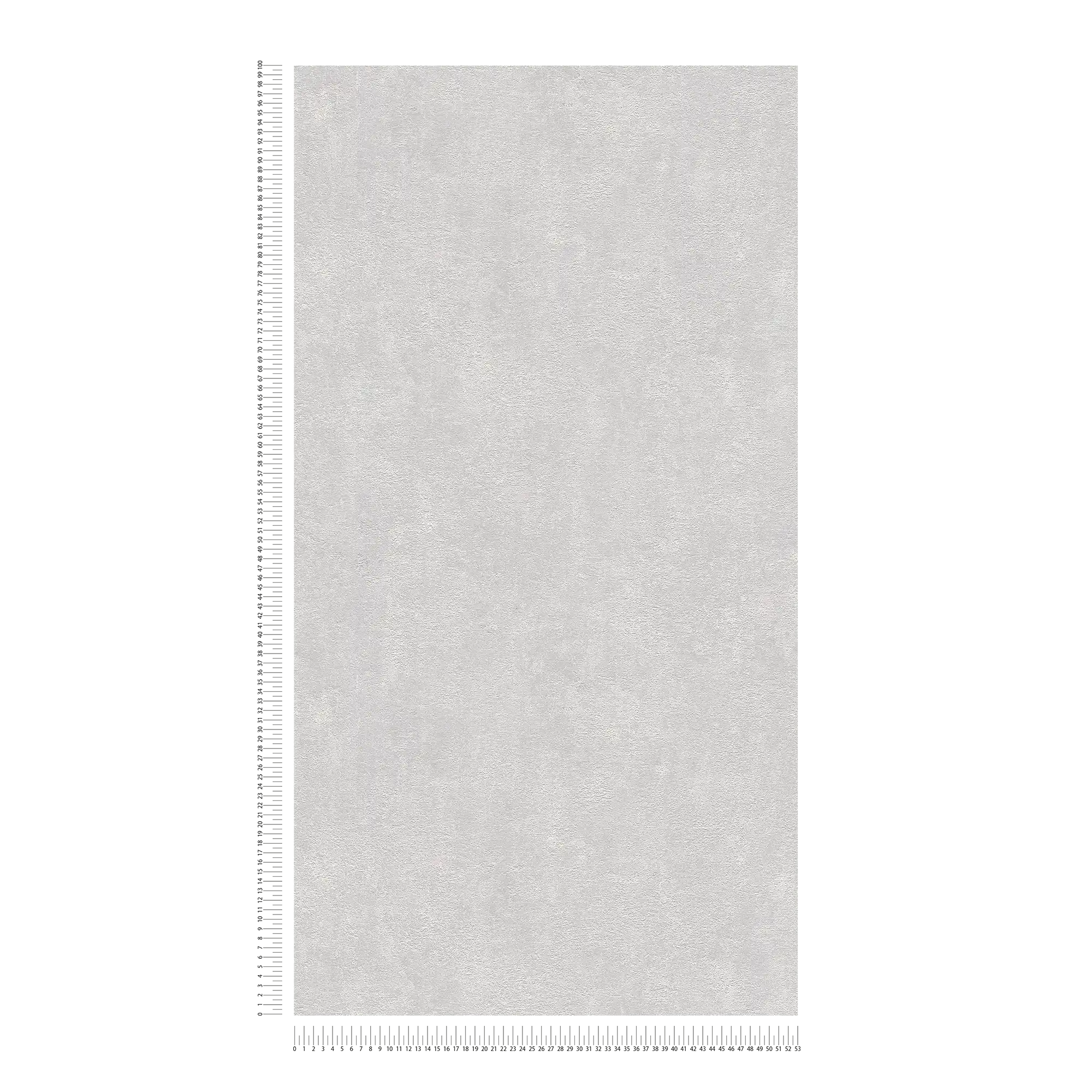             Carta da parati struttura in gesso, liscia e satinata - grigio chiaro
        