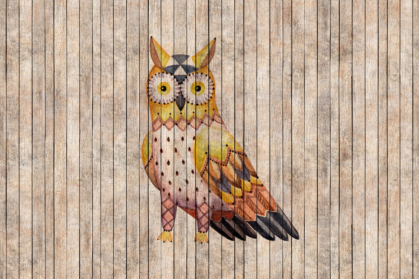             Fairy tale 1 - Wooden board wall with owl canvas picture - 0.90 m x 0.60 m
        