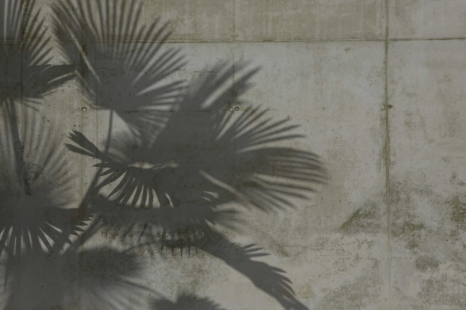             Pintura en lienzo Sombras de hojas de palmera sobre muro de hormigón - 0,90 m x 0,60 m
        