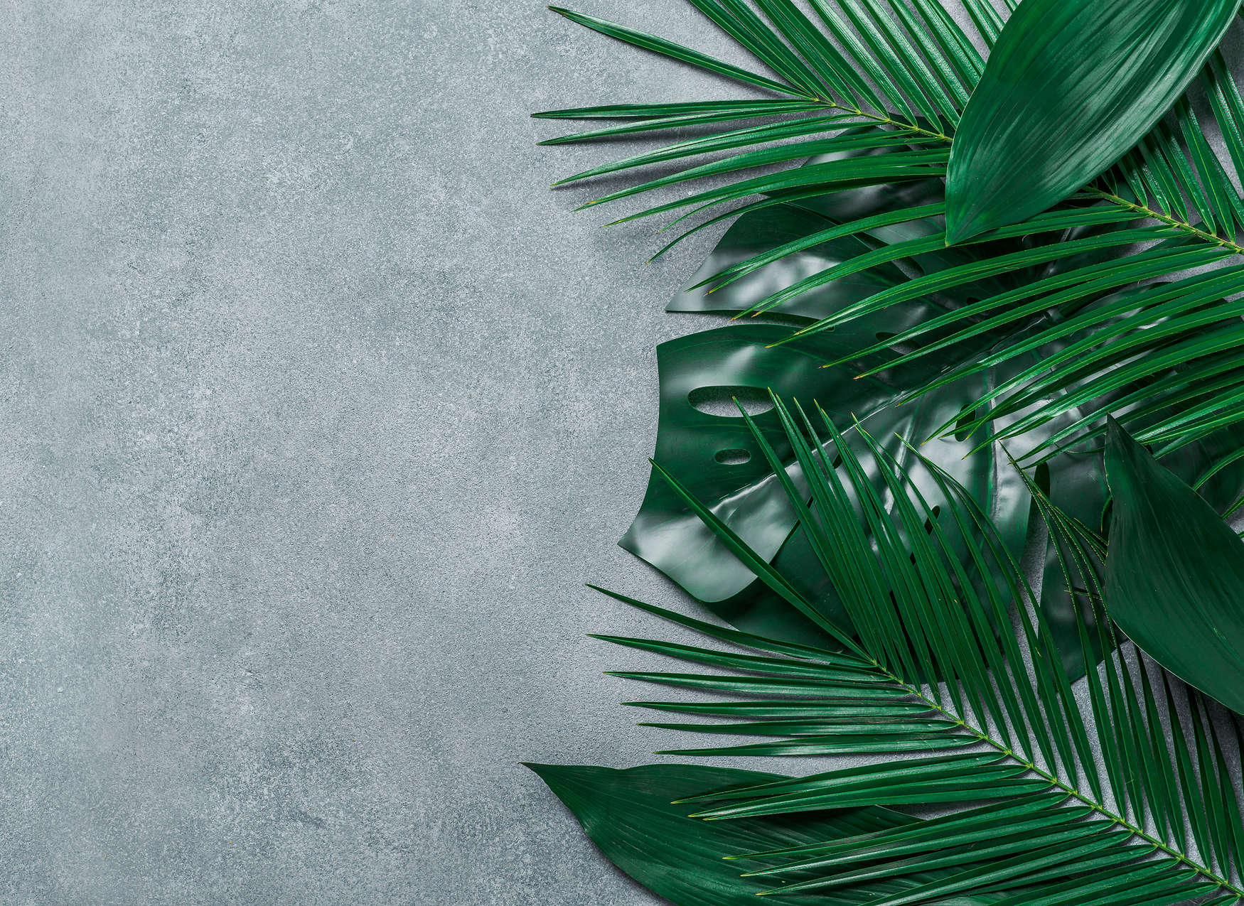             Photo wallpaper tropical leaves on concrete background - Green, Grey
        