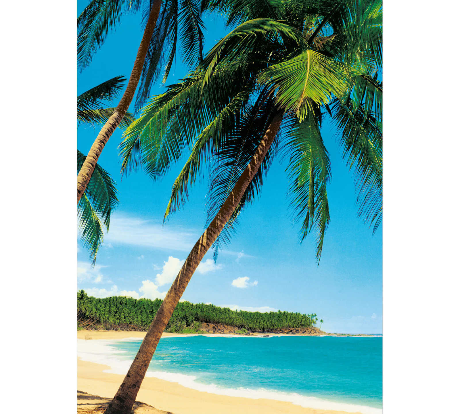 Palm trees & beach mural South Seas in portrait format
