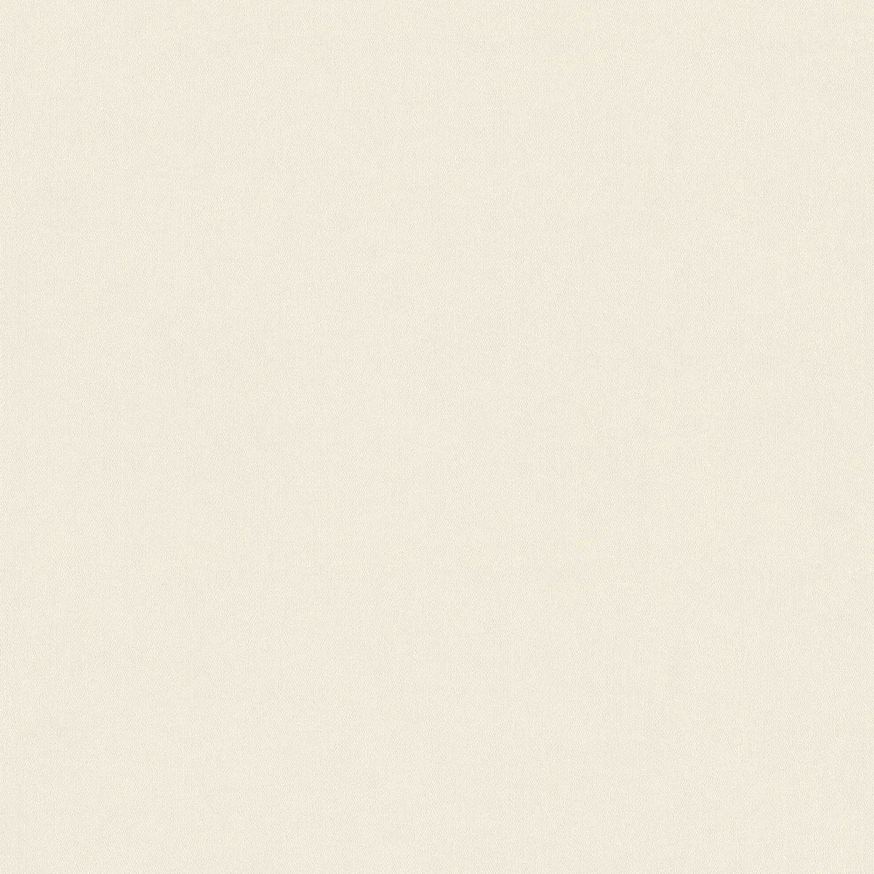 Plain wallpaper non-woven, double width 106cm - beige, cream, grey

