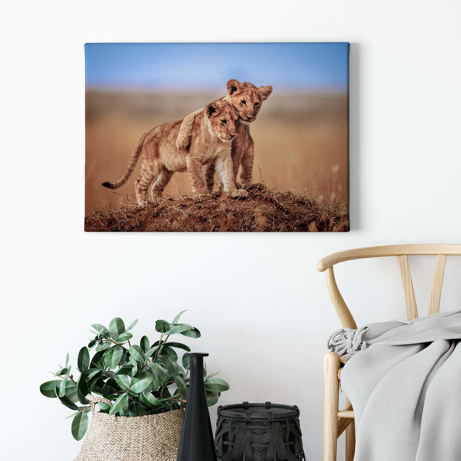             Canvas print little lions at play, nature photographie
        