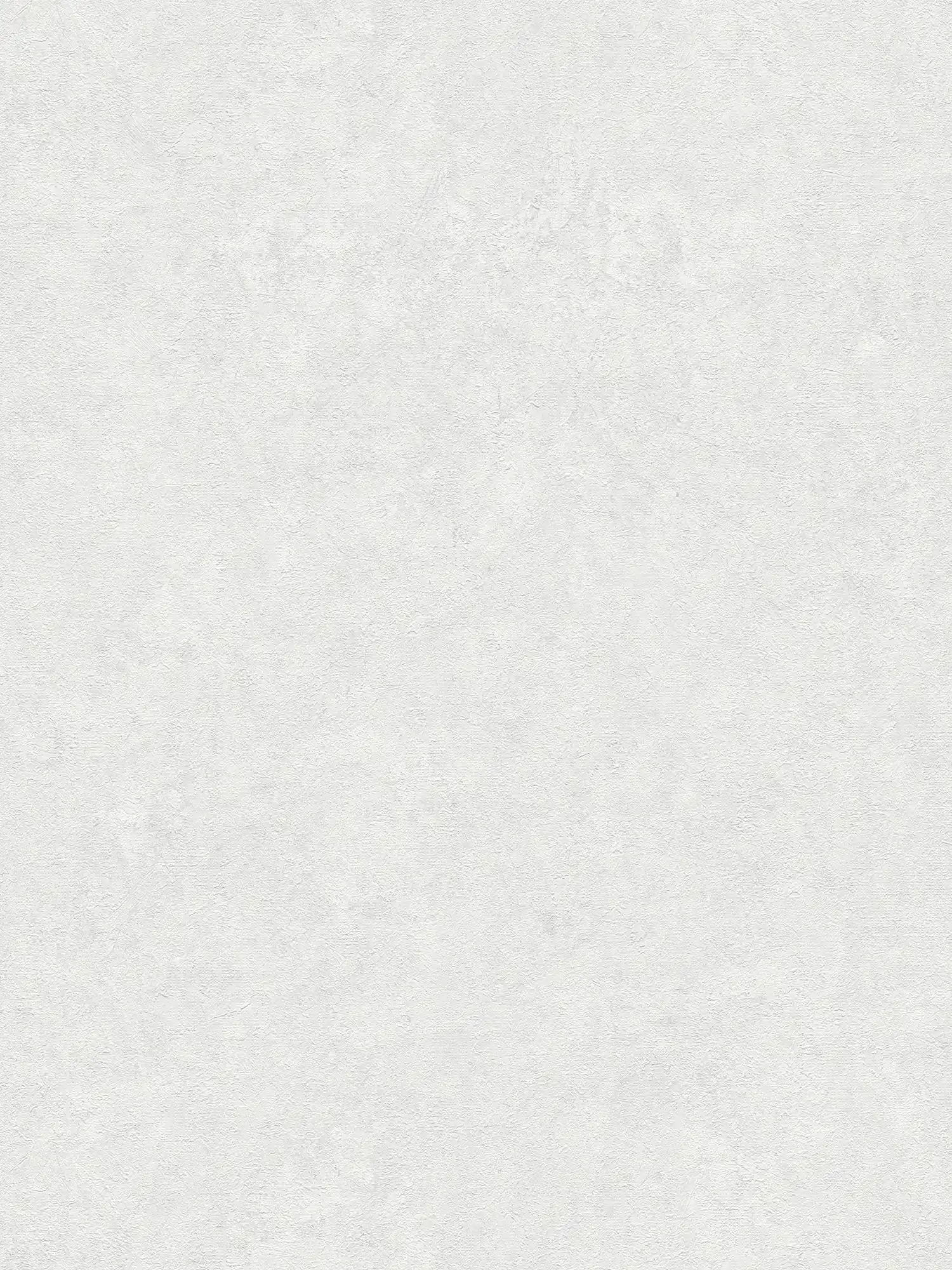 Carta da parati unitaria con motivo strutturato in tonalità tenui - bianco, grigio
