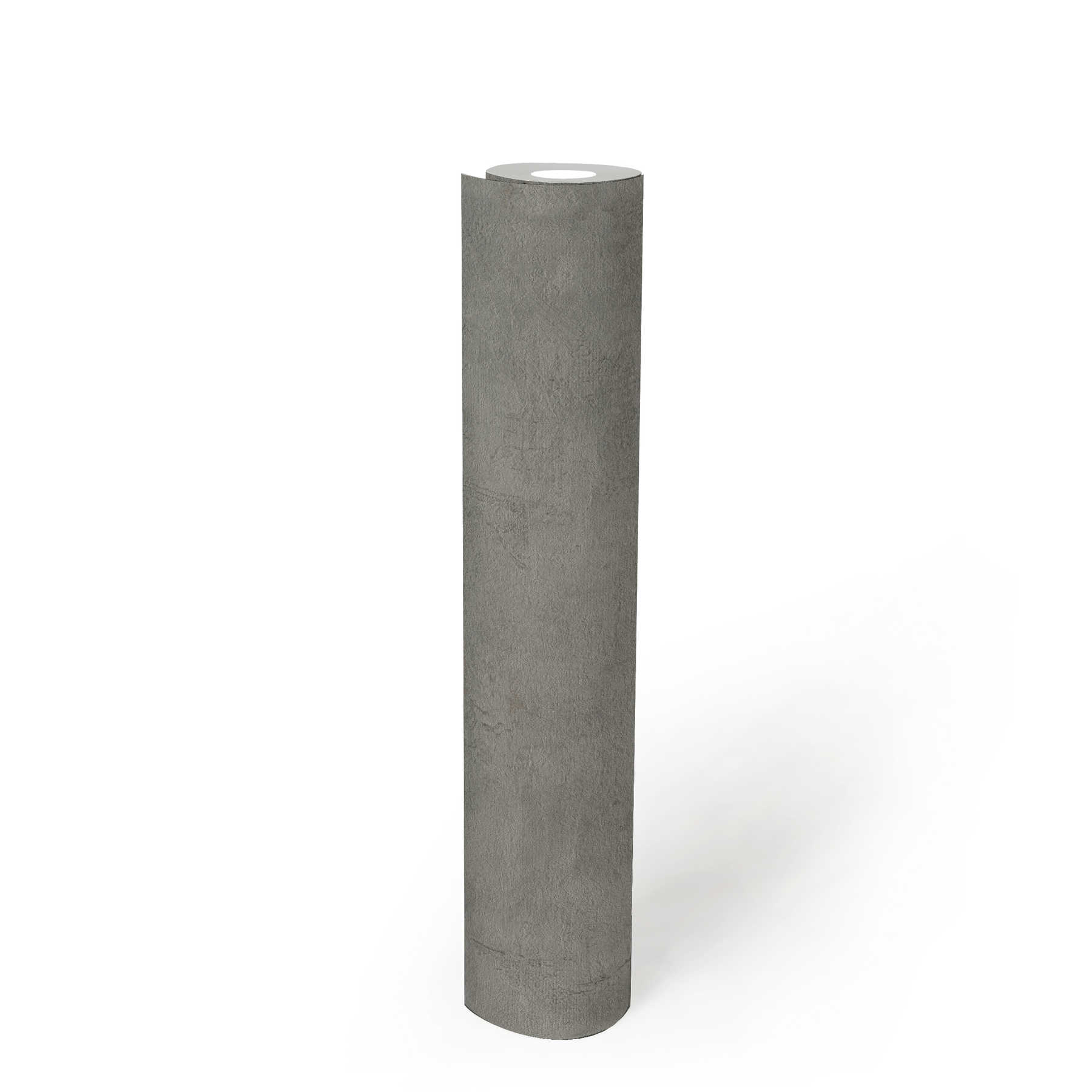             Structuurbehang met donkergrijze pleisterlook - grijs
        